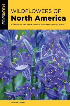 portada Wildflowers of North America: A Coast-To-Coast Guide to More Than 500 Flowering Plants (in English)