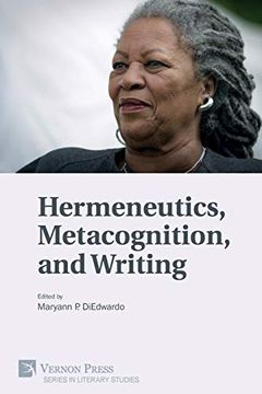 portada Hermeneutics, Metacognition, and Writing (Series in Literary Studies) (in English)