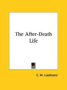 portada the after-death life (en Inglés)