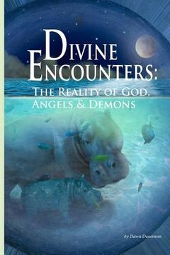 portada divine encounters (en Inglés)