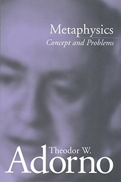 portada Metaphysics: Concept and Problems (in English)