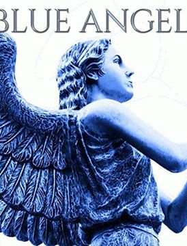 portada Blue Angel Writing Drawing Journal (in English)