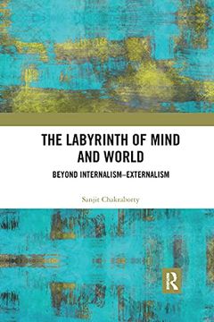 portada The Labyrinth of Mind and World (en Inglés)