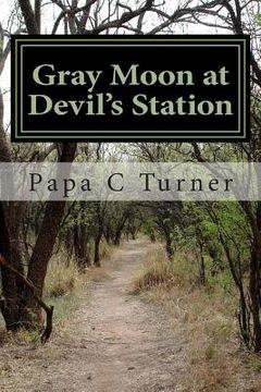 portada Gray Moon at Devil's Station (en Inglés)
