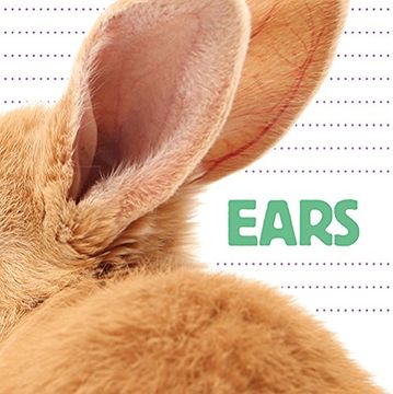 portada Ears (Question and Animal) (en Inglés)