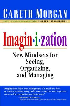 portada imaginization: new mindsets for seeing, organizing, and managing (en Inglés)