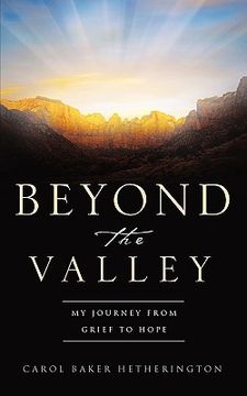 portada beyond the valley