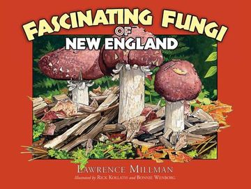 portada Fascinating Fungi of new England (en Inglés)