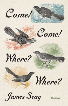 portada Come! Come! Where? Where?: Essays (en Inglés)