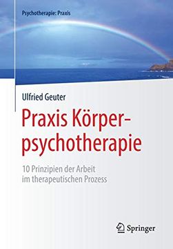 portada Praxis Körperpsychotherapie: 10 Prinzipien der Arbeit im Therapeutischen Prozess (Psychotherapie: Praxis) (in German)