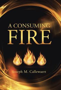 portada A Consuming Fire (en Inglés)