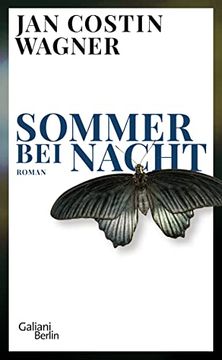 portada Sommer bei Nacht: Roman (en Alemán)