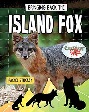 portada Bringing Back the Island fox (Animals Back From the Brink) (en Inglés)