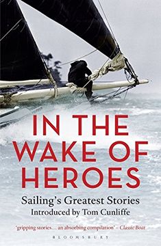 portada In the Wake of Heroes