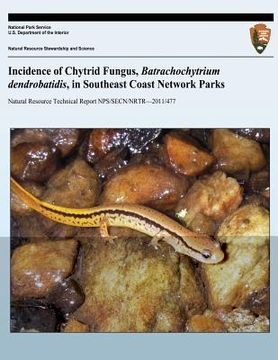 portada Incidence of Chytrid Fungus, Batrachochytrium dendrobatidis, in Southeast Coast Network Parks (in English)