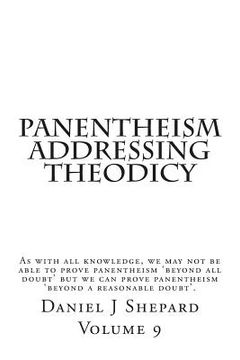 portada Panentheism Addressing Theodicy (in English)