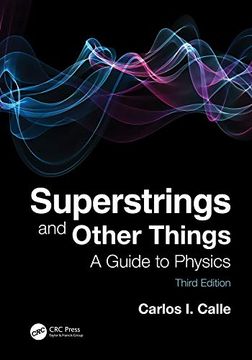 portada Superstrings and Other Things (en Inglés)