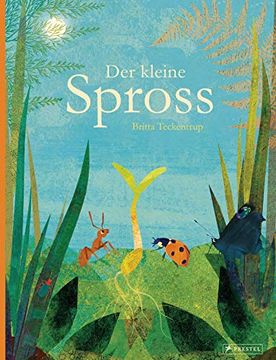 portada Der Kleine Spross (in German)