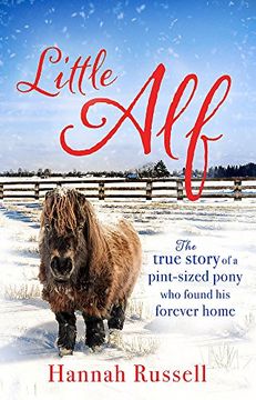 portada Little Alf: The true story of a pint-sized pony who found his forever home