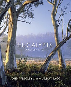 portada Eucalypts: A Celebration (in English)