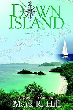 portada down island: a novel of the caribbean (en Inglés)