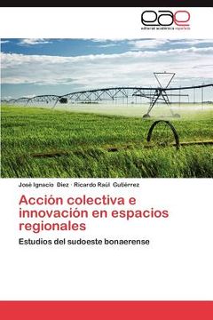 portada acci n colectiva e innovaci n en espacios regionales (en Inglés)