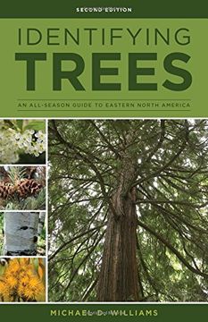 portada Identifying Trees of the East: An All-Season Guide to Eastern North America