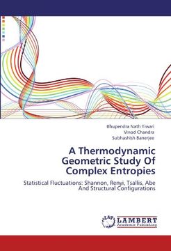 portada A Thermodynamic Geometric Study Of Complex Entropies: Statistical Fluctuations: Shannon, Renyi, Tsallis, Abe  And Structural Configurations