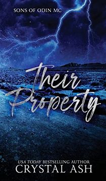 portada Their Property: Sons of Odin mc (en Inglés)