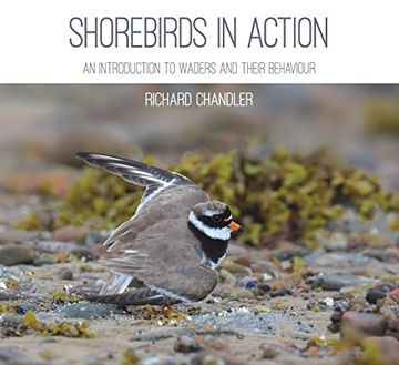 portada Shorebirds in Action: An Introduction to Waders and Their Behaviour
