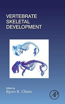 portada Vertebrate Skeletal Development, Volume 133 (Current Topics in Developmental Biology) (en Inglés)