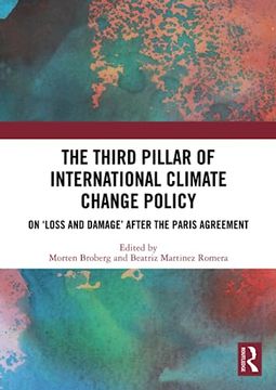 portada The Third Pillar of International Climate Change Policy (in English)