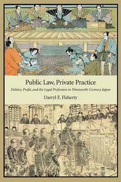 portada public law, private practice