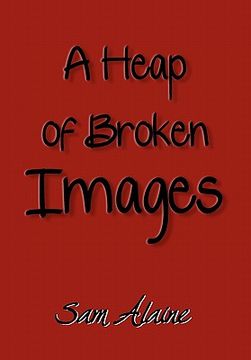 portada a heap of broken images (en Inglés)
