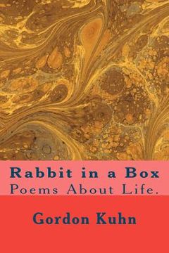 portada rabbit in a box (en Inglés)