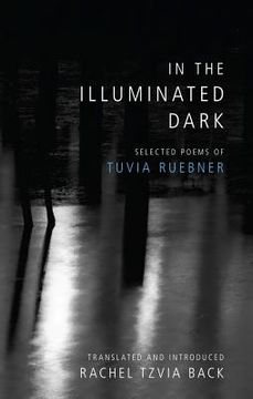 portada In the Illuminated Dark (en Inglés)