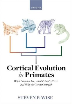 portada Cortical Evolution in Primates: What Primates Are, What Primates Were, and why the Cortex Changed (in English)