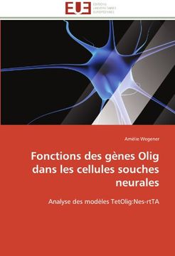 portada Fonctions des gènes Olig dans les cellules souches neurales: Analyse des modèles TetOlig:Nes-rtTA