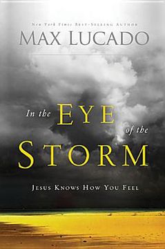 portada in the eye of the storm (en Inglés)