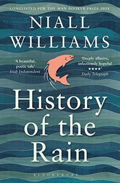 portada History of the Rain (in English)
