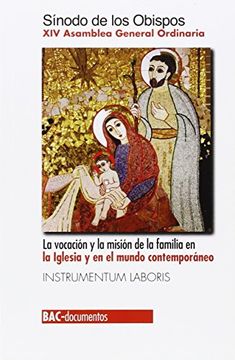portada Vocacion y Mision de la Familia en la Iglesia y Mundo Contemporaneo (in Spanish)