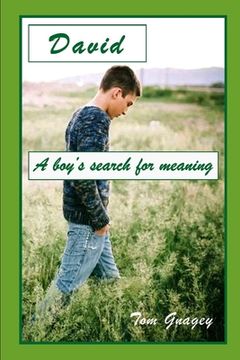 portada David: A teenboy's search for meaning (en Inglés)