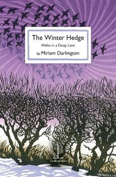 portada Winter Hedge