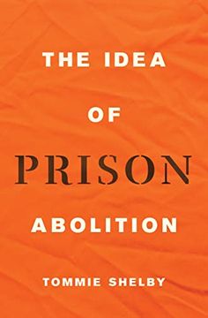portada The Idea of Prison Abolition: 10 (Carl g. Hempel Lecture Series, 10) (in English)