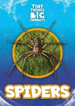 portada Spiders (Tiny Things, big Impacts) (en Inglés)