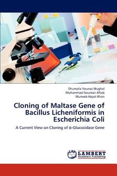 portada cloning of maltase gene of bacillus licheniformis in escherichia coli