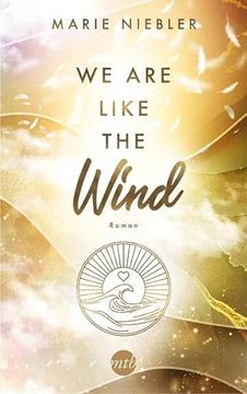 portada We are Like the Wind (Like us, Band 3) (in German)