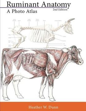 portada Ruminant Anatomy: A Photo Atlas (in English)