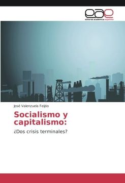 portada Socialismo y capitalismo:: ¿Dos crisis terminales?