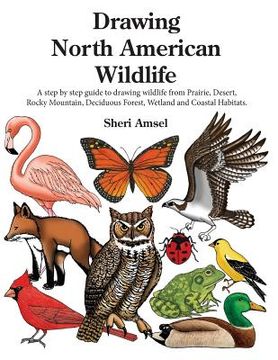 portada Drawing North American Wildlife: A step by step guide to drawing wildlife from Prairie, Desert, Rocky Mountain, Deciduous Forest, Wetland and Coastal (en Inglés)